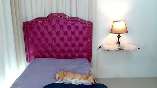 DreamLADYBOY online show from 02/24/26, 01:03