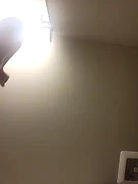 gdawg78 online show from 02/18/26, 06:48