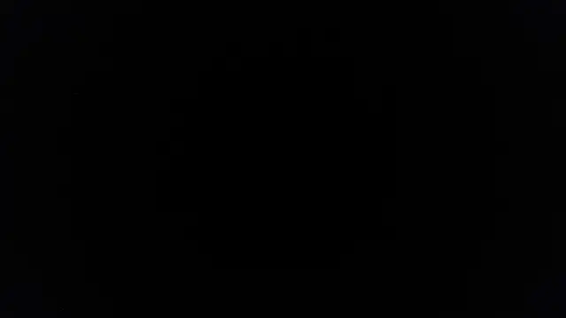palidin1 online show from 06/27/26, 07:41