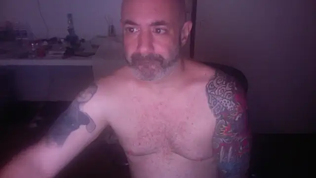 palidin1 online show from 07/06/26, 08:00