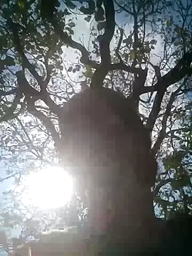 Mohni Das online show from 03/25/26, 07:47