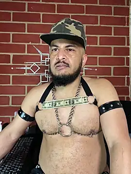 the master foal  online show from 02/04/26, 02:34