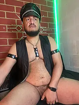 the master foal  online show from 02/10/26, 03:27