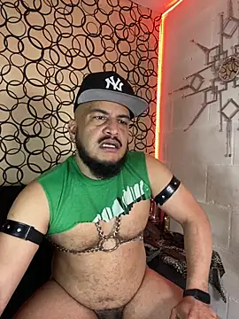 the master foal  online show from 02/27/26, 07:03