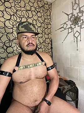 the master foal  online show from 03/19/26, 05:28