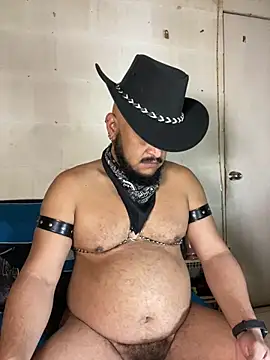 the master foal  online show from 05/03/26, 07:03