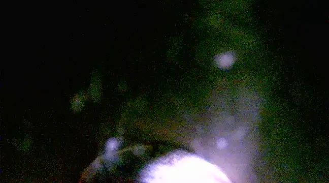 Snapshot of h0ney_lips chatting on 03/01/25, 01:18 h0ney lips online show from 03/01/25, 01:18