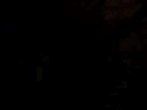 jck1m0t online show from 12/19/24, 11:07