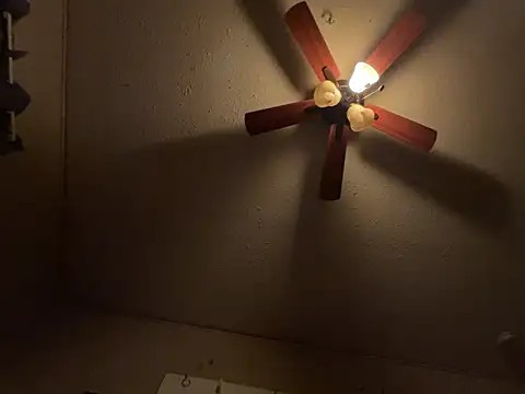 jck1m0t online show from 03/03/26, 11:43