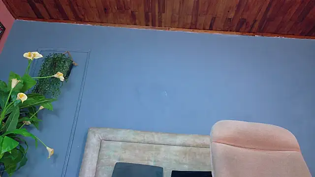 nicol snow online show from 04/04/26, 01:19