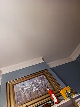 chosen923 online show from 02/22/25, 02:39