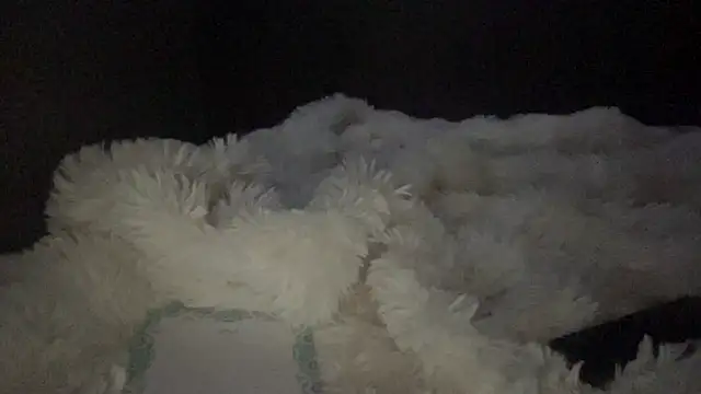 lyna sweet online show from 04/16/26, 10:34