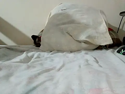 JamesQuaresma online show from 02/11/26, 03:39