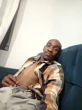 Dibobo4 online show from 04/10/26, 09:08