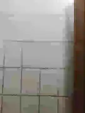 Morenno online show from 12/14/24, 05:47