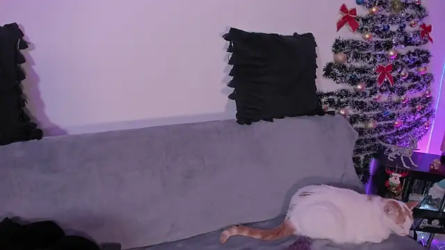 pamela doll3 online show from 12/21/25, 03:35