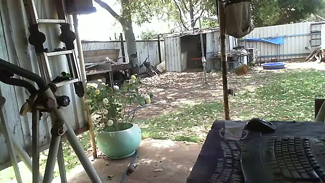 herbie010666 online show from 10/12/25, 02:32