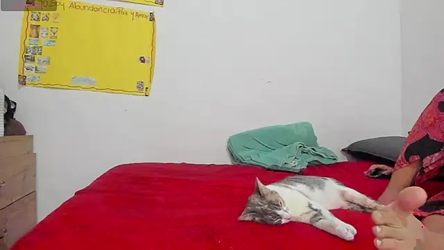 Snapshot of Hela_wet chatting on 11/24/25, 05:34 Hela wet online show from 11/24/25, 05:34