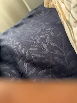 ROBOSTALLION online show from 04/04/26, 11:40