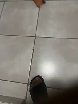 ROBOSTALLION online show from 04/07/26, 09:26