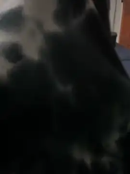 ROBOSTALLION online show from 04/13/26, 04:34