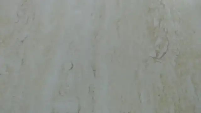 Snapshot of Crazy_team_ chatting on 12/20/24, 03:31 Crazy team online show from 12/20/24, 03:31