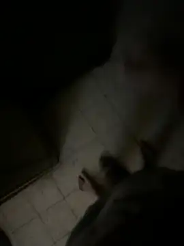 Dedoow online show from 04/06/26, 10:44