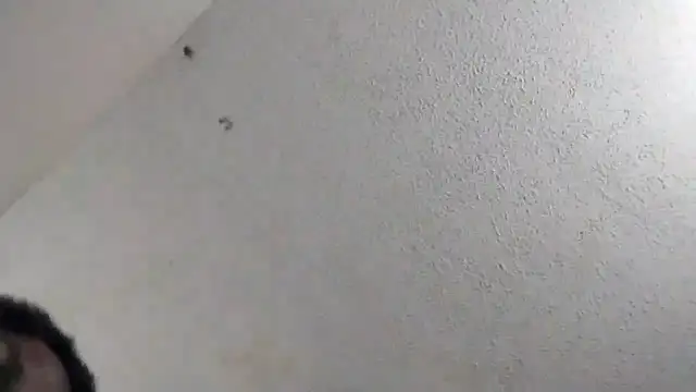 247Srokin online show from 03/06/26, 11:01