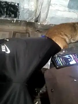 Wero4200 online show from 03/13/26, 09:05