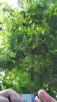 pene8991 online show from 01/17/25, 07:16