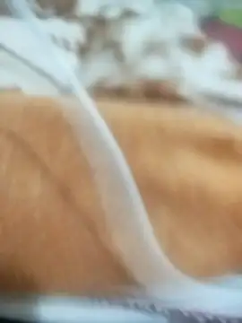 naghmi12 online show from 04/13/26, 05:51