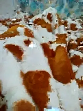 naghmi12 online show from 04/16/26, 11:00