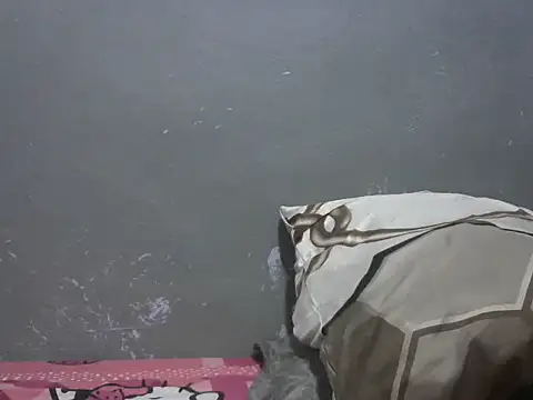 Forsia online show from 03/25/26, 05:13