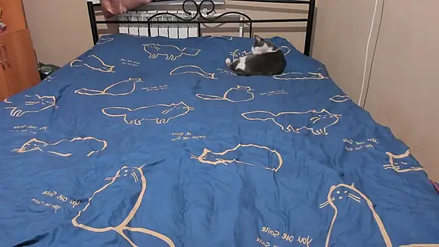 eva zero online show from 12/17/25, 03:07