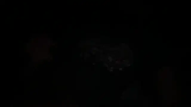 waveonce- online show from 12/14/25, 07:36