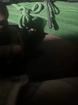 Snapshot of dingoding chatting on 01/11/25, 11:34 dingoding online show from 01/11/25, 11:34