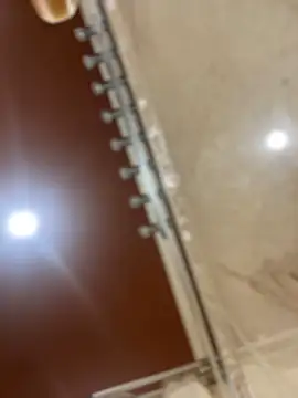 Snapshot of dingoding chatting on 03/21/25, 06:51 dingoding online show from 03/21/25, 06:51