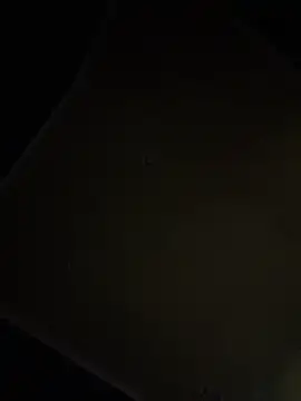 dingoding online show from 04/16/26, 09:39