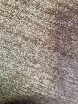 Snapshot of gokhanbey34 chatting on 10/08/25, 02:36 gokhanbey34 online show from 10/08/25, 02:36