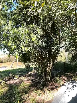 AliceStone19 online show from 09/10/25, 05:24