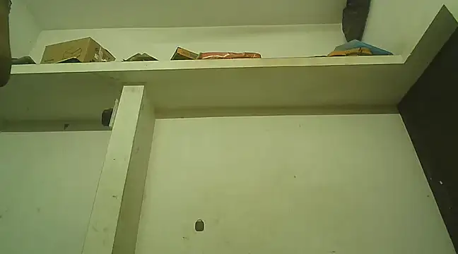 Akhilamolu the transsissy online show from 12/30/24, 07:11