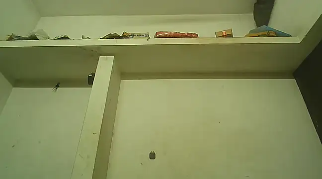 Akhilamolu the transsissy online show from 02/08/25, 05:39