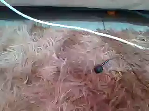 sexyjanett online show from 03/11/25, 09:13