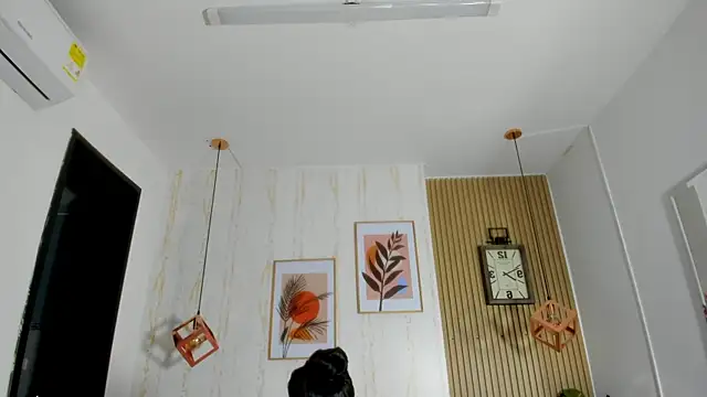 CameronCollins  online show from 02/22/25, 07:36