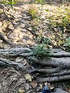 Rinku5553 online show from 02/02/25, 07:20