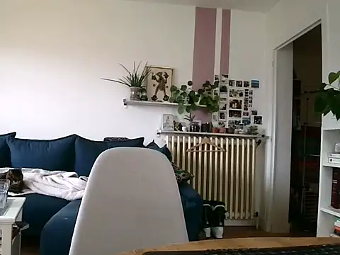 Simon-tem online show from 02/05/26, 01:38