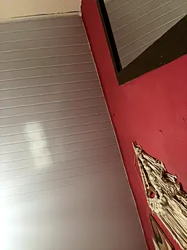 pimenta gaby online show from 11/15/25, 02:13