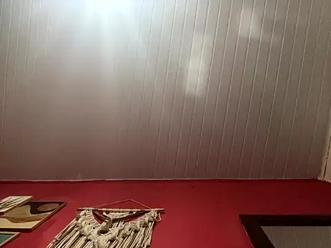 pimenta gaby online show from 03/17/26, 09:29