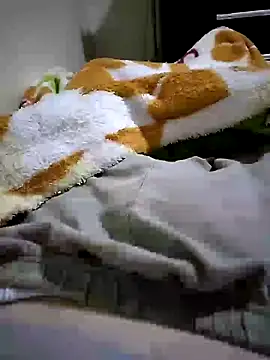 shiiank online show from 05/27/26, 03:14