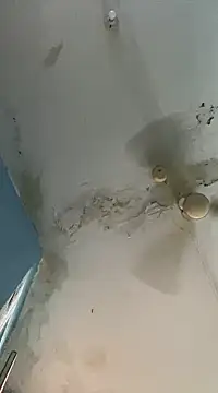 Snapshot of Marino08@xh chatting on 02/19/25, 05:16 Marino08xh online show from 02/19/25, 05:16